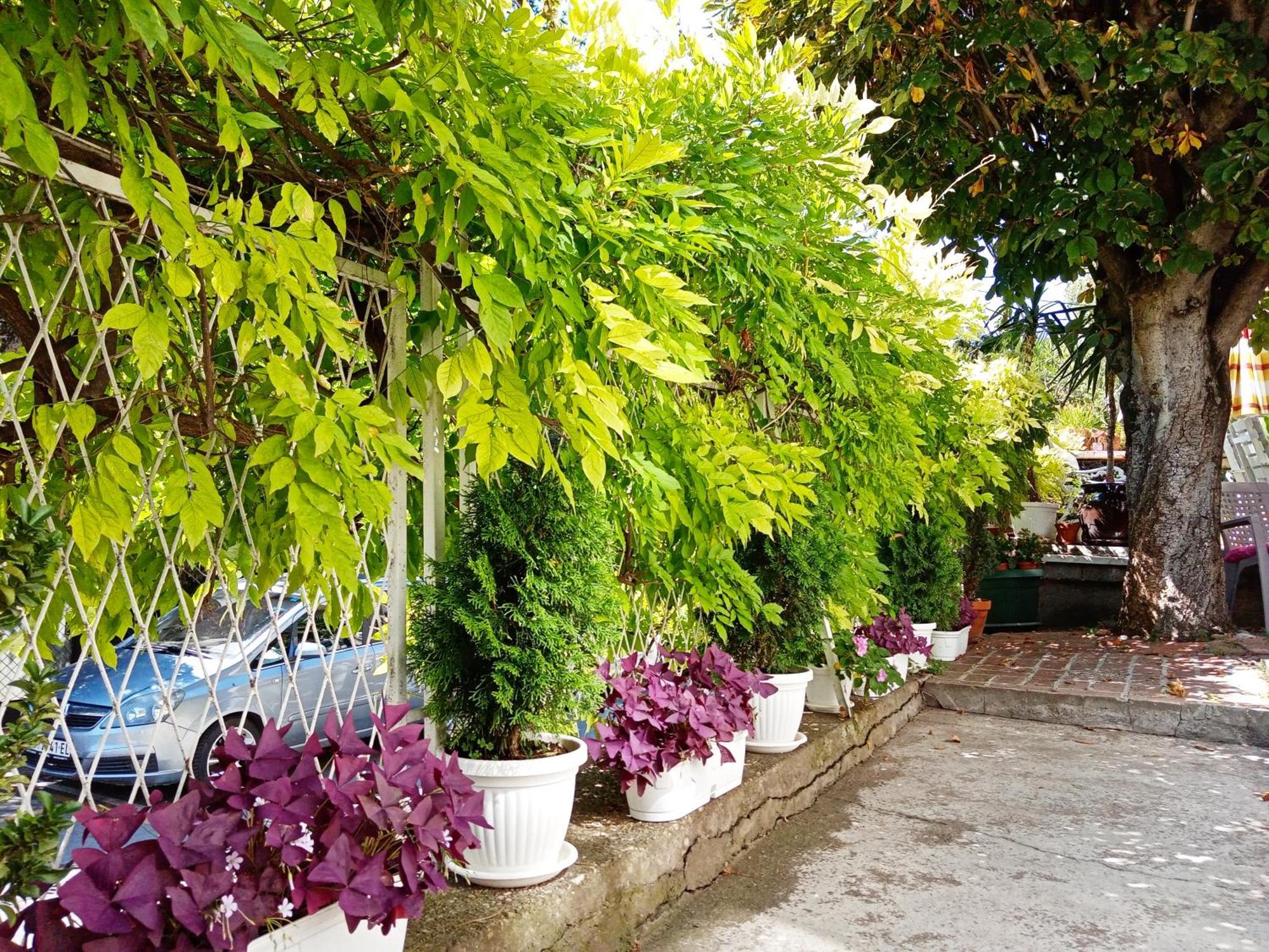 Belgrade Apartment Happy Garden Belgrado Exterior foto