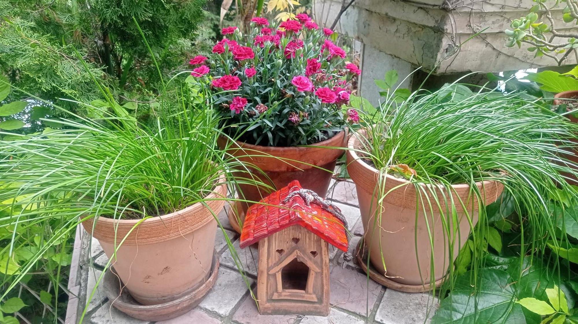 Belgrade Apartment Happy Garden Belgrado Exterior foto